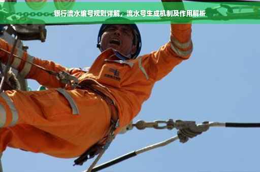 银行流水编号规则详解，流水号生成机制及作用解析