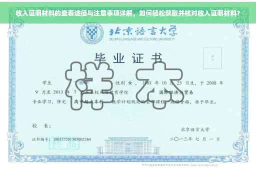 收入证明材料的查看途径与注意事项详解，如何轻松获取并核对收入证明材料？