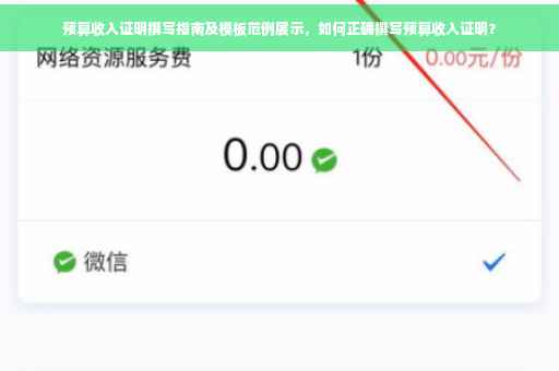 预算收入证明撰写指南及模板范例展示，如何正确撰写预算收入证明？