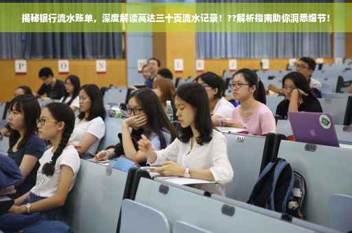 揭秘银行流水账单，深度解读高达三十页流水记录！??解析指南助你洞悉细节！