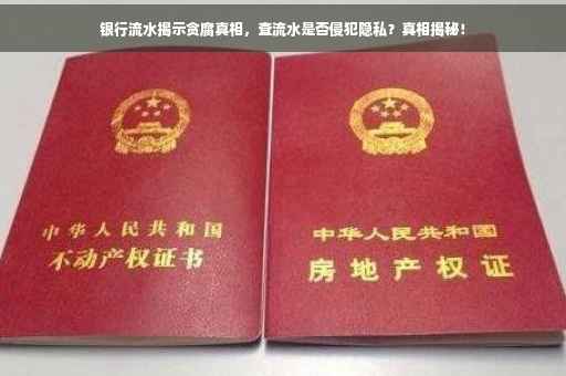 银行流水揭示贪腐真相，查流水是否侵犯隐私？真相揭秘！