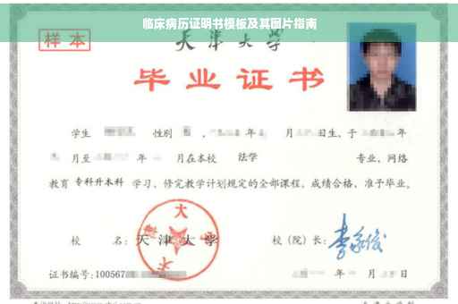 临床病历证明书模板及其图片指南