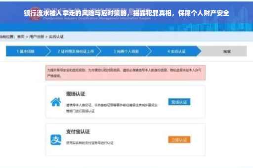 银行流水被人拿走的风险与应对策略，揭露犯罪真相，保障个人财产安全