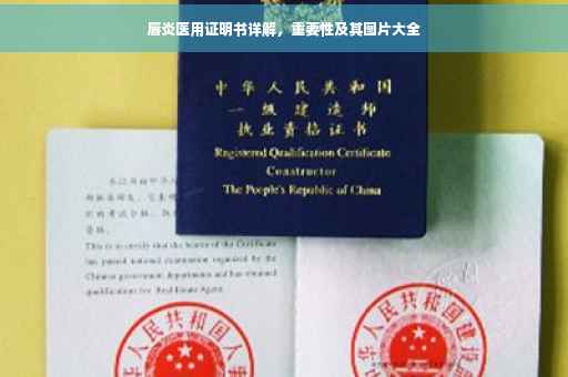 唇炎医用证明书详解，重要性及其图片大全