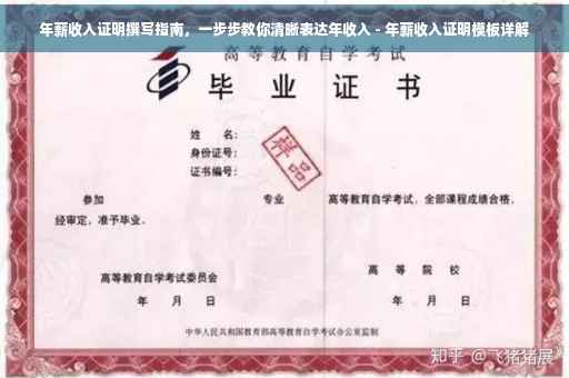 年薪收入证明撰写指南，一步步教你清晰表达年收入 - 年薪收入证明模板详解