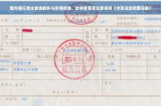 国外银行流水查询解析与实用指南，软件使用及注意事项（涉及违法犯罪问题）