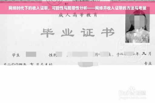 网络时代下的收入证明，可能性与局限性分析——网络开收入证明的方法与考量