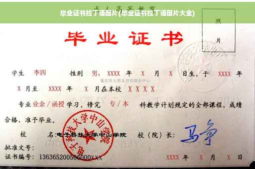 毕业证书拉丁语图片(毕业证书拉丁语图片大全)