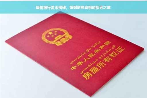 婚前银行流水揭秘，婚姻财务真相的探寻之道