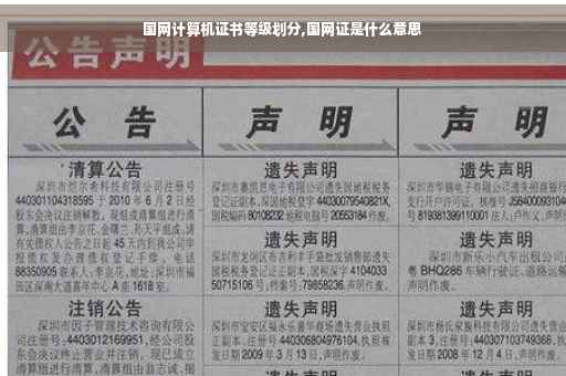国网计算机证书等级划分,国网证是什么意思