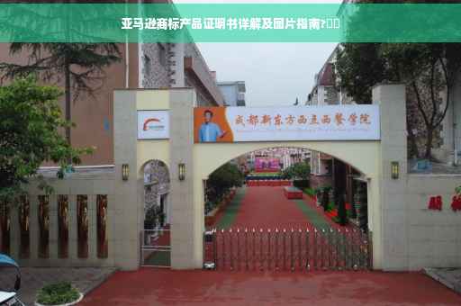 亚马逊商标产品证明书详解及图片指南?⚡️