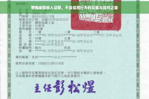 警惕虚假收入证明，不良信用行为的后果与应对之策