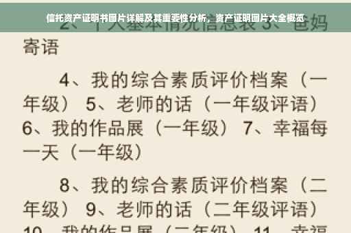 信托资产证明书图片详解及其重要性分析，资产证明图片大全概览