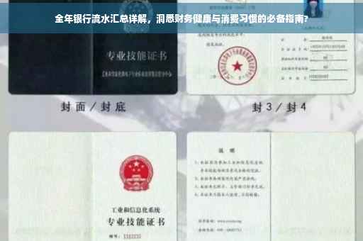 全年银行流水汇总详解，洞悉财务健康与消费习惯的必备指南?