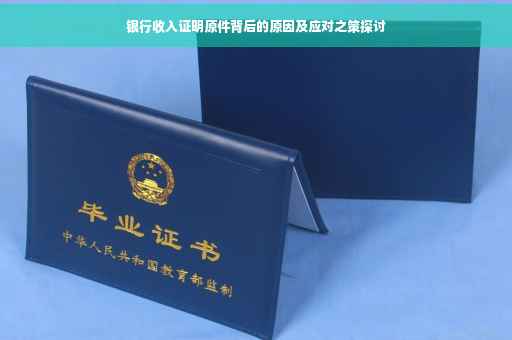 银行收入证明原件背后的原因及应对之策探讨