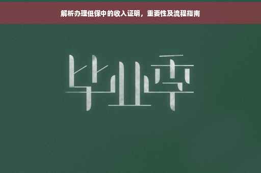 解析办理低保中的收入证明，重要性及流程指南