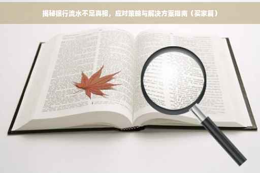 揭秘银行流水不足真相，应对策略与解决方案指南（买家篇）