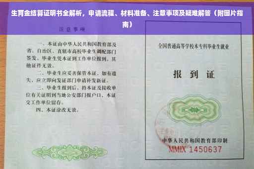 生育金结算证明书全解析，申请流程、材料准备、注意事项及疑难解答（附图片指南）
