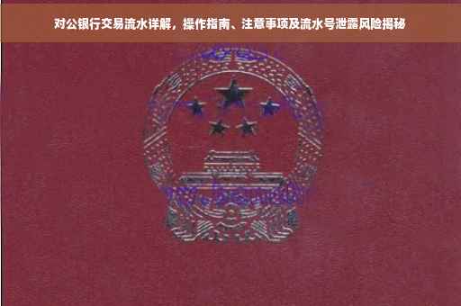 对公银行交易流水详解，操作指南、注意事项及流水号泄露风险揭秘