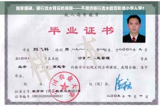独家揭秘，银行流水背后的真相——不提供银行流水能否影响小学入学？