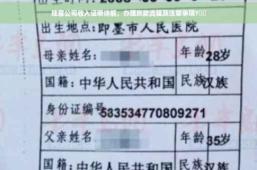 挂靠公司收入证明详解，办理贷款流程及注意事项?⚡️