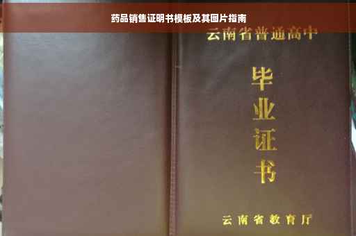 药品销售证明书模板及其图片指南