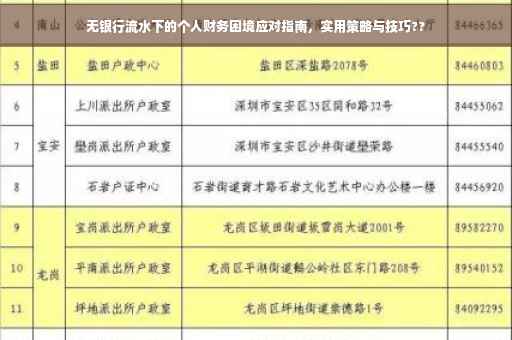 无银行流水下的个人财务困境应对指南，实用策略与技巧??
