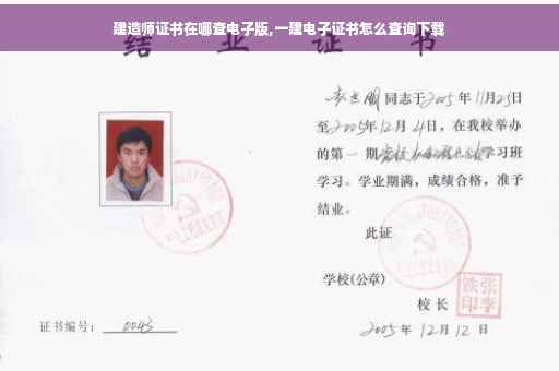 建造师证书在哪查电子版,一建电子证书怎么查询下载