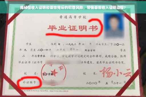 揭秘假收入证明和面签背后的犯罪风险，警惕面签收入证明造假?