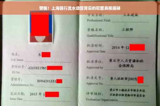 警惕！上海银行流水造假背后的犯罪真相揭秘