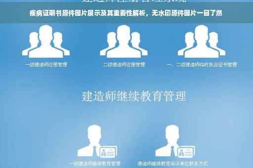 疾病证明书原件图片展示及其重要性解析，无水印原件图片一目了然