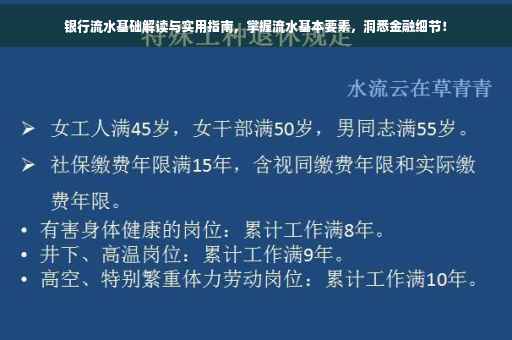 银行流水基础解读与实用指南，掌握流水基本要素，洞悉金融细节！