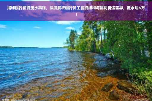 揭秘银行薪资流水真相，深度解析银行员工薪资结构与福利待遇差异，流水达6万！