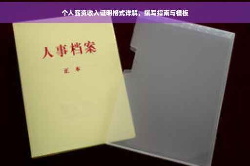个人薪资收入证明格式详解，撰写指南与模板