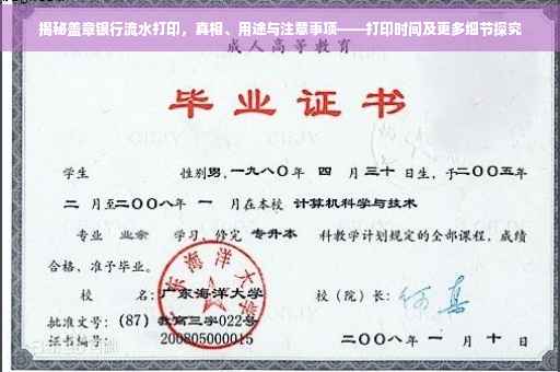 揭秘盖章银行流水打印，真相、用途与注意事项——打印时间及更多细节探究
