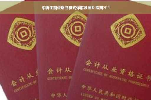 车辆注销证明书格式详解及图片指南?⚡️