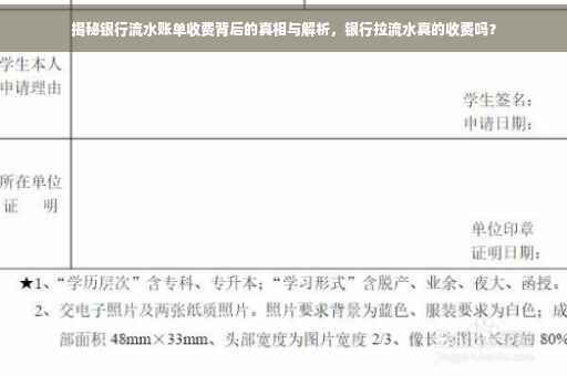 揭秘银行流水账单收费背后的真相与解析，银行拉流水真的收费吗？