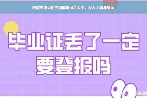 法院生效证明书详解与图片大全，深入了解与展示
