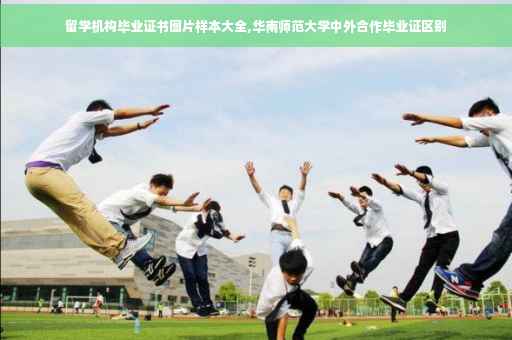 留学机构毕业证书图片样本大全,华南师范大学中外合作毕业证区别