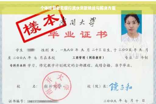 个体经营者无银行流水贷款挑战与解决方案