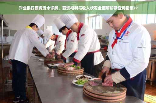 兴业银行薪资流水详解，薪资福利与收入状况全面解析及查询指南??