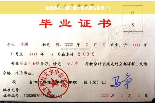 全面解析，银行流水账单标注指南 ?✨