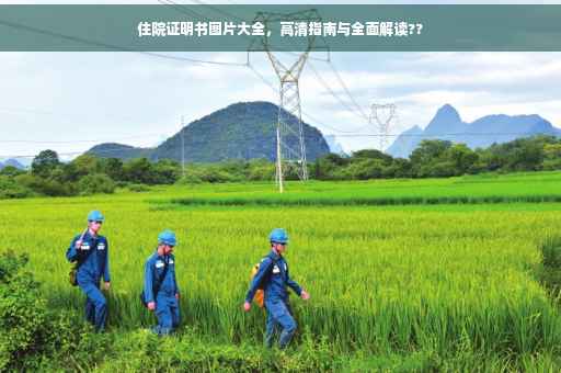 住院证明书图片大全，高清指南与全面解读??
