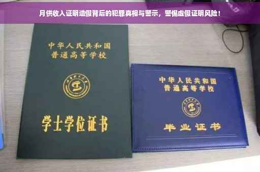 月供收入证明造假背后的犯罪真相与警示，警惕虚假证明风险！