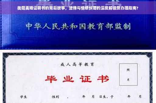 衡阳离婚证明书的背后故事，法律与情感纠葛的深度解读及办理指南?