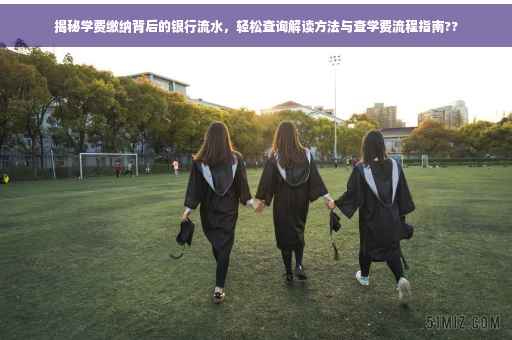 揭秘学费缴纳背后的银行流水，轻松查询解读方法与查学费流程指南??