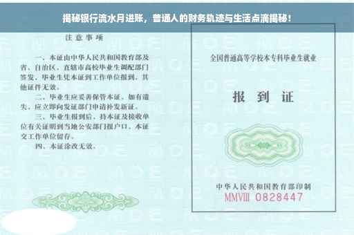 揭秘银行流水月进账，普通人的财务轨迹与生活点滴揭秘！