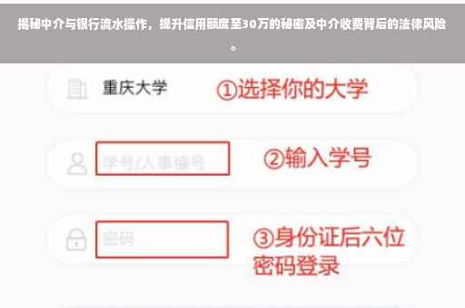 揭秘中介与银行流水操作，提升信用额度至30万的秘密及中介收费背后的法律风险。