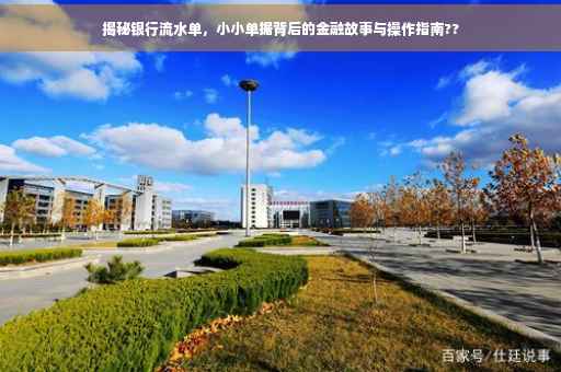 揭秘银行流水单，小小单据背后的金融故事与操作指南??