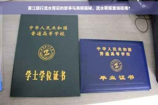 湘江银行流水背后的故事与真相揭秘，流水明细查询指南?
